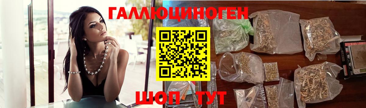 Псилоцибиновые грибы Psilocybe  Вход с VPN  Минусинск 